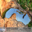 HKUCO Replacement Lenses For Oakley EVZero Range Sunglasses Titanium Mirror Polarized